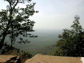 Riding Days & Jungle Nights